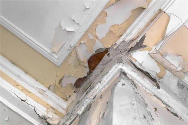 梦见下大雨房子漏水 梦见下大雨房子漏水