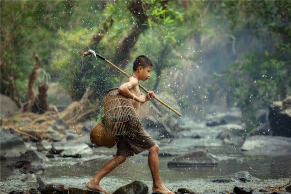 梦到捉了好多鱼 梦到捉了好多鱼