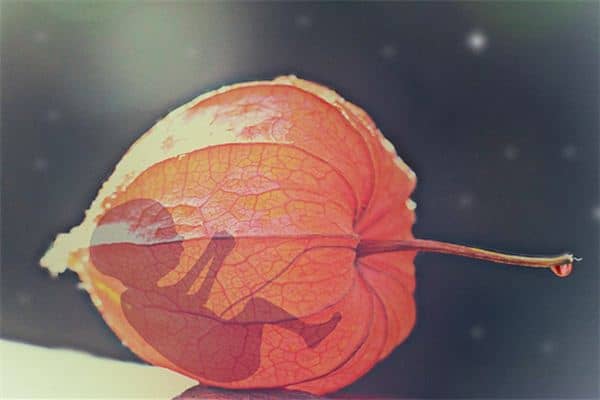 梦见别人流产是什么意思 梦见别人流产是什么意思