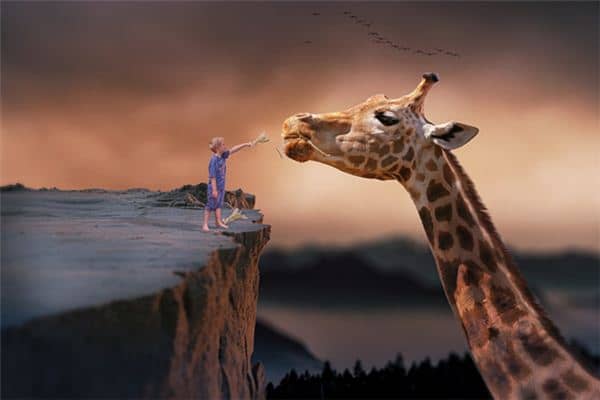 梦见稀奇的梦是什么意思 梦见稀奇的梦是什么意思