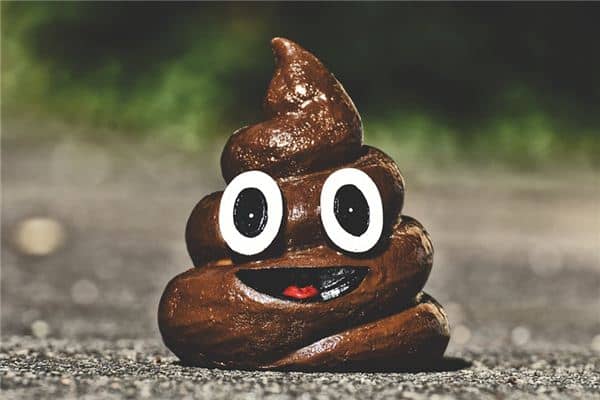 梦见手上沾屎是什么意思 梦见手上沾屎是什么意思