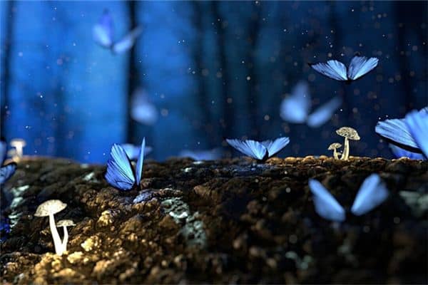 梦见梦林玄解是什么意思 梦见梦林玄解是什么意思