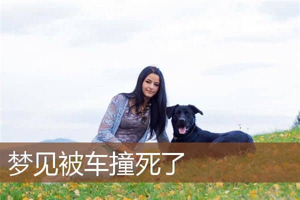 梦见被车撞死了