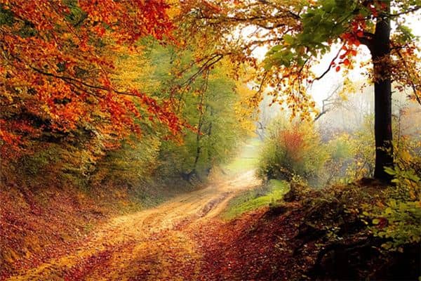 梦见看不清路是什么意思 梦见看不清路是什么意思