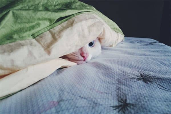 梦见逃跑躲藏是什么意思 梦见逃跑躲藏是什么意思