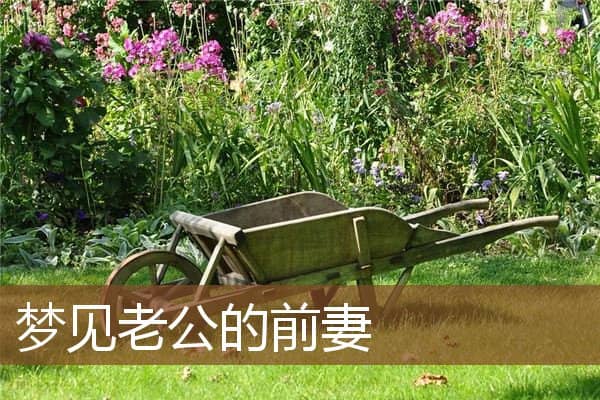 梦见老公的前妻