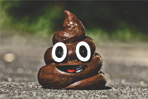 梦见站着拉屎是什么意思 梦见站着拉屎是什么意思