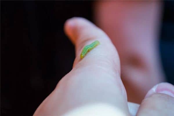 梦见口吐虫子是什么意思 梦见口吐虫子是什么意思