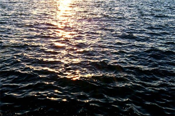 梦见河水浑浊是什么意思 梦见河水浑浊是什么意思