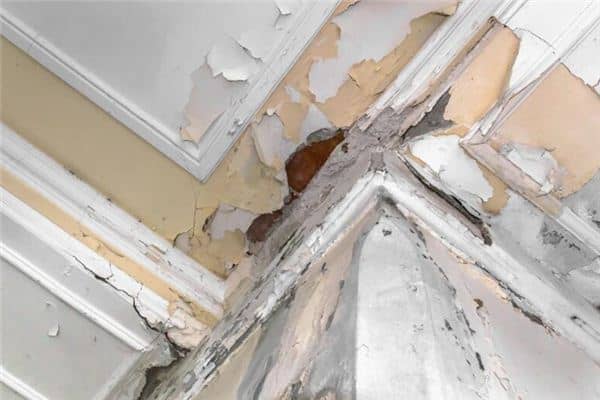 梦见下雨屋里漏雨 梦见下雨屋里漏雨