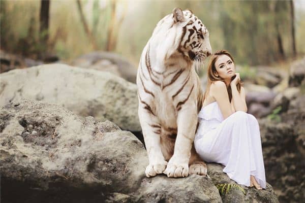 梦见白色动物是什么意思 梦见白色动物是什么意思