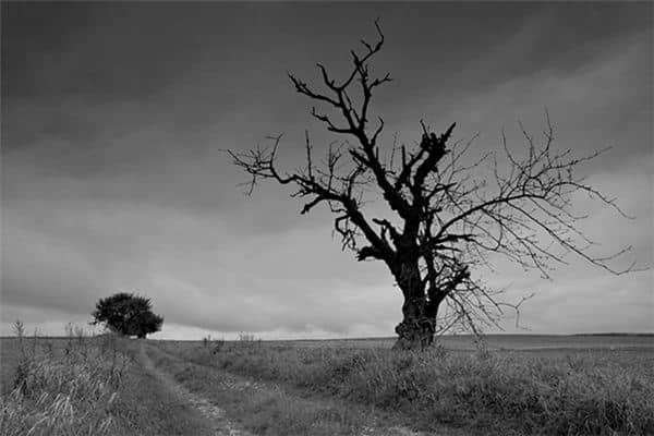 梦见天气阴沉是什么意思 梦见天气阴沉是什么意思