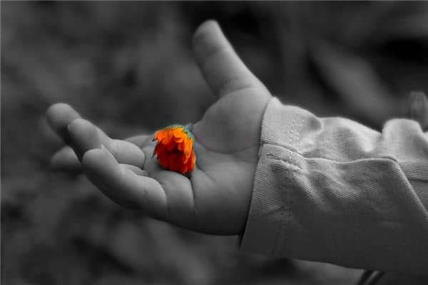 梦见手掌裂开是什么意思 梦见手掌裂开是什么意思