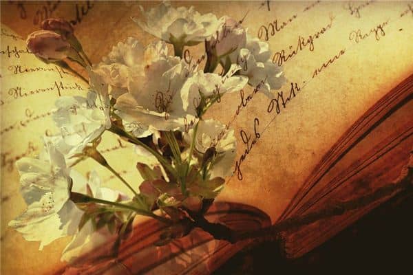 梦见花枝折断是什么意思 梦见花枝折断是什么意思