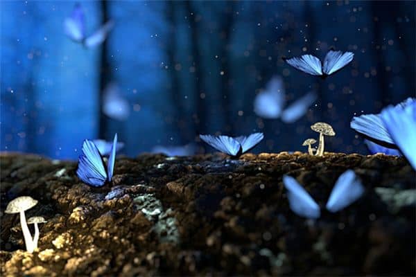 梦见周么解梦是什么意思 梦见周么解梦是什么意思