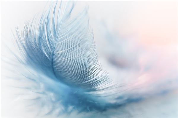 梦见拔毛是什么意思