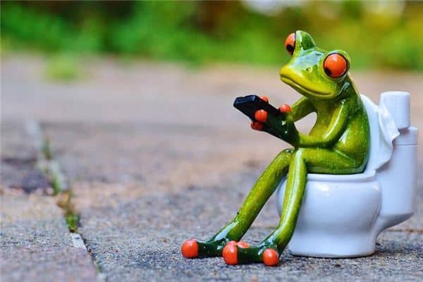 梦见亲人掉粪坑是什么意思