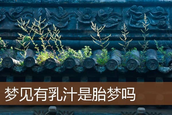 梦见有乳汁是什么意思吗是什么意思