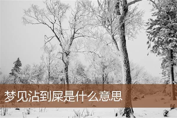 梦见沾屎是什么意思