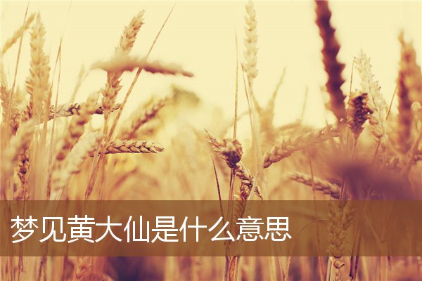 梦见黄大仙是什么意思