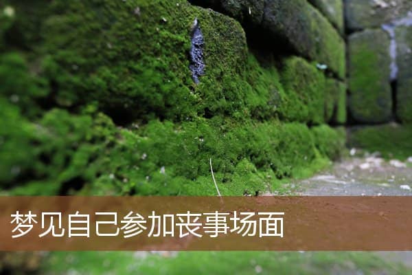 梦见自己参加丧事场面是什么意思