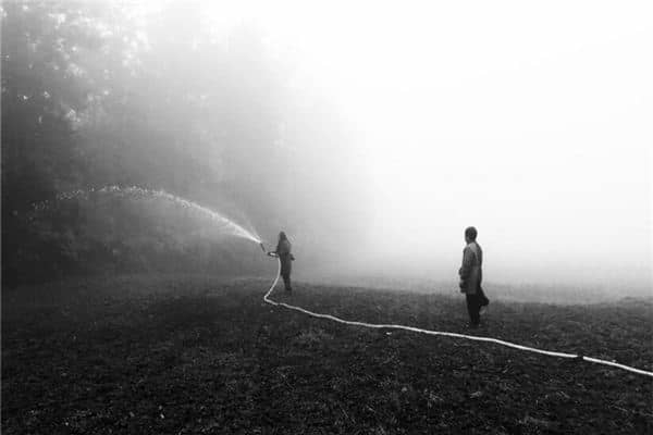 梦见和别人一起浇地是什么意思