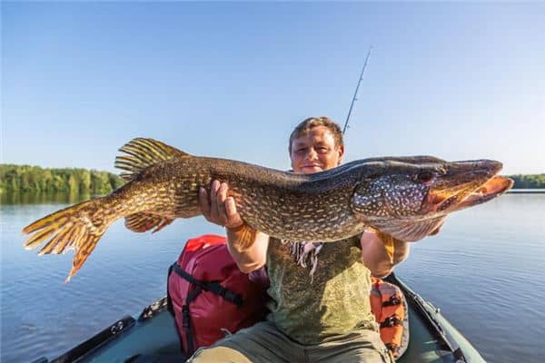 梦见别人钓大鱼是什么意思