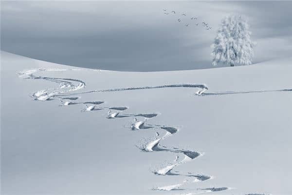 梦见有人跟踪我很害怕是什么意思