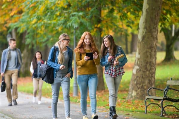 梦见异性老同学是什么意思