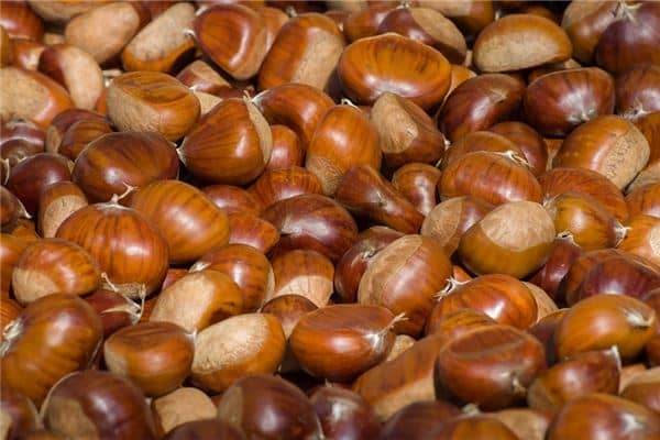 梦见吃熟板栗是什么意思