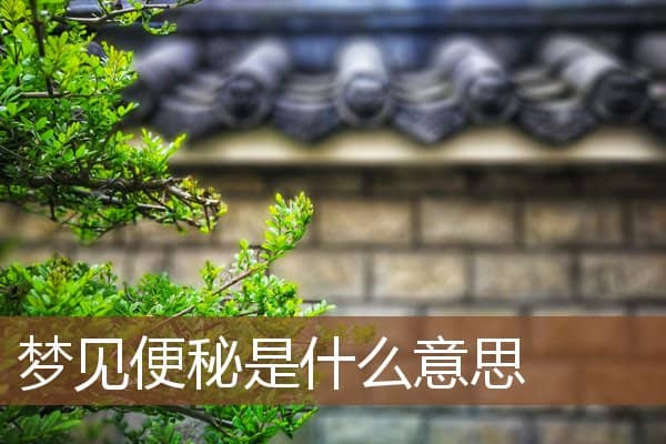 梦见便秘是什么意思