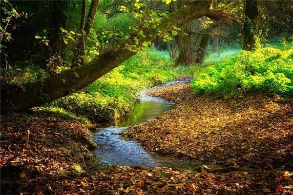 梦见自己过不了河是什么意思