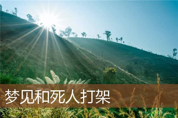 梦见和死人打架是什么意思