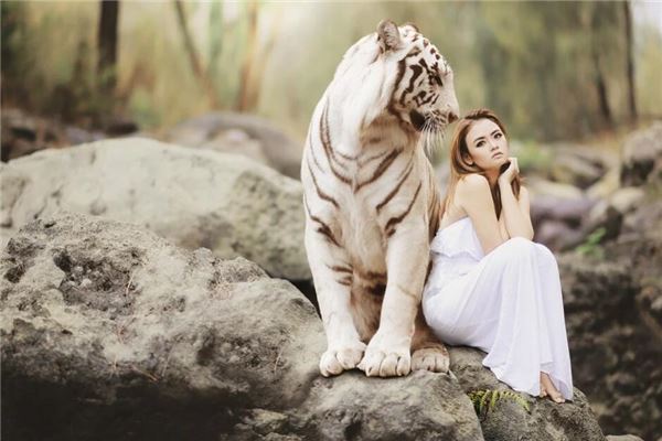 梦见老虎吃人是什么意思