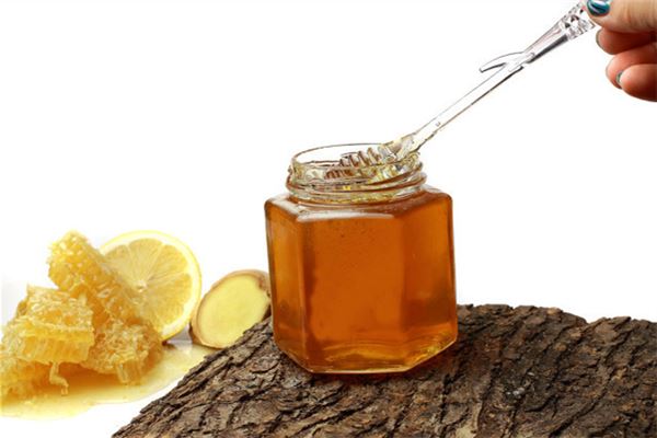 梦见做梦蜜蜂是什么意思?是什么意思