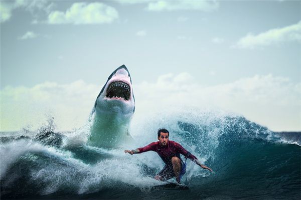 梦见大鱼吃人是什么意思