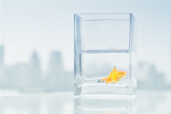 梦见金色的鱼是什么意思