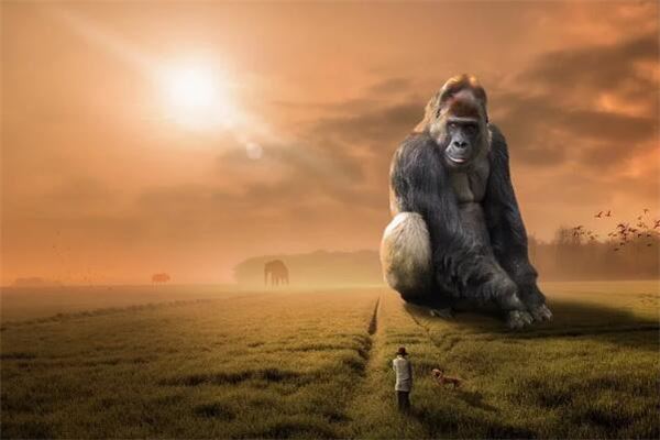 梦见猩猩是什么意思