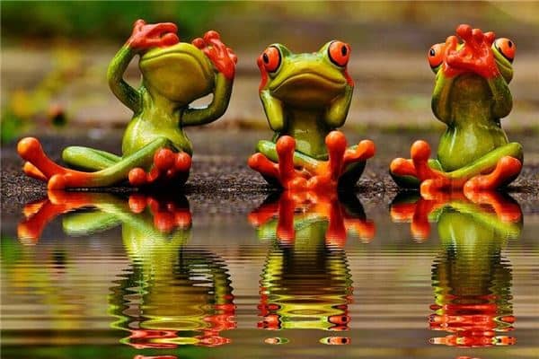 梦见好多青蛙是什么意思