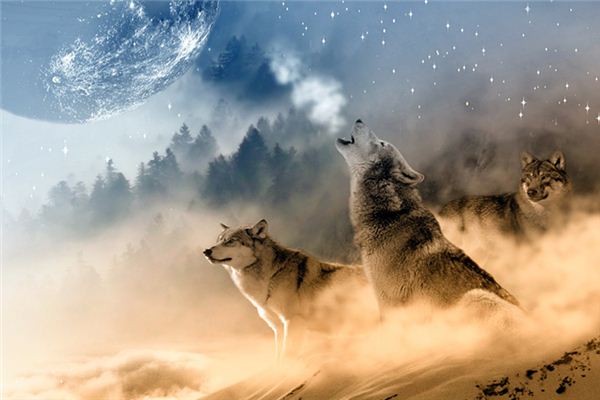 梦见被狼围攻是什么意思