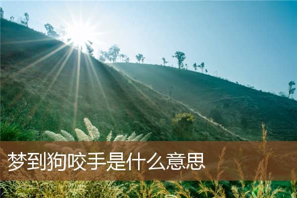 梦见狗咬手是什么意思