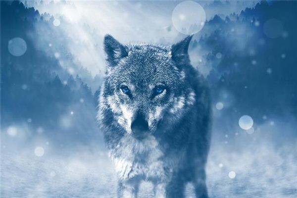 梦见被狼咬手没出血是什么意思