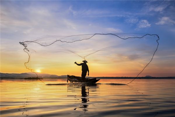梦见网鱼是什么意思