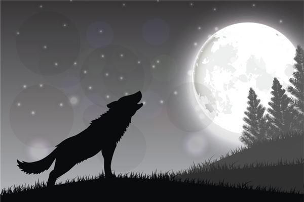 梦见被狼咬是什么意思