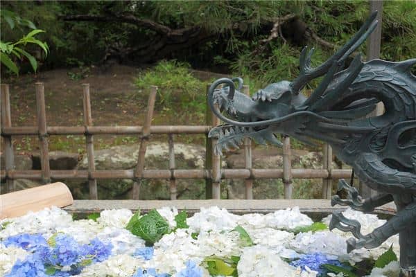 梦见青龙是什么意思