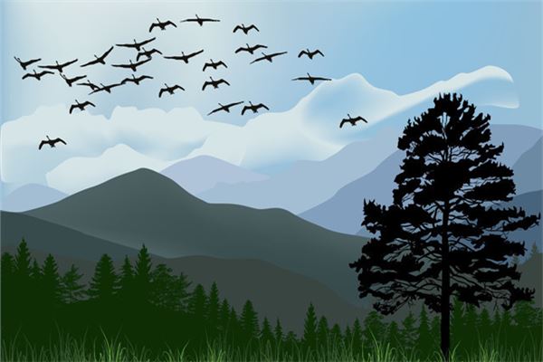 梦见很多鸟是什么意思