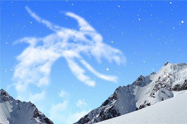 梦见白龙是什么意思