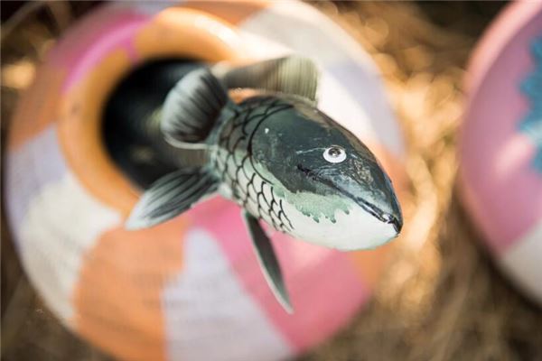 梦见孕妇黑鱼是什么意思