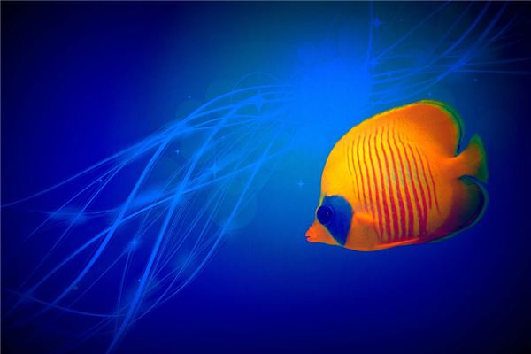 梦见小鱼死了是什么意思