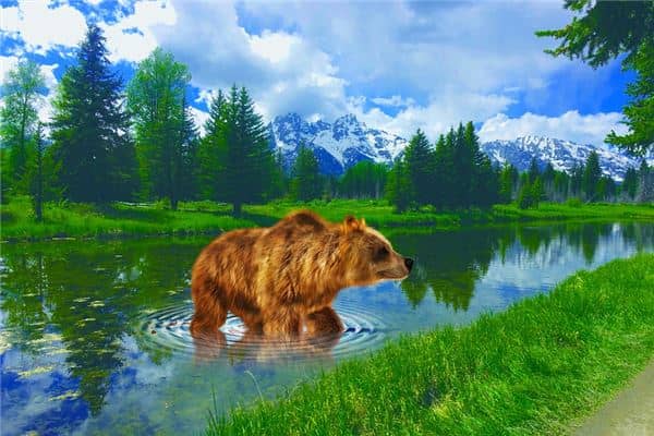 梦见大熊是什么意思